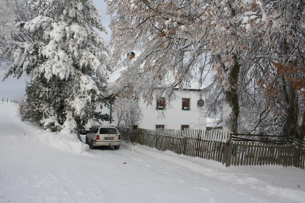 Apartman Hořice na Šumavě Extérieur photo